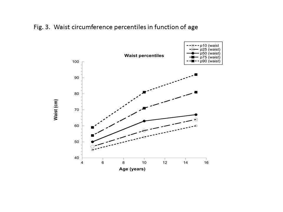 Fig. 3.  Waist circumference percentiles in function of age. 